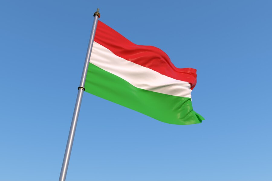 学べば学ぶほど面白い！ハンガリー語の魅力とその奥深さ