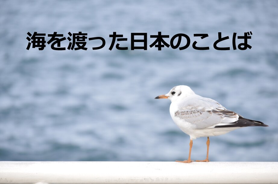 B-190_海を渡った日本のことば